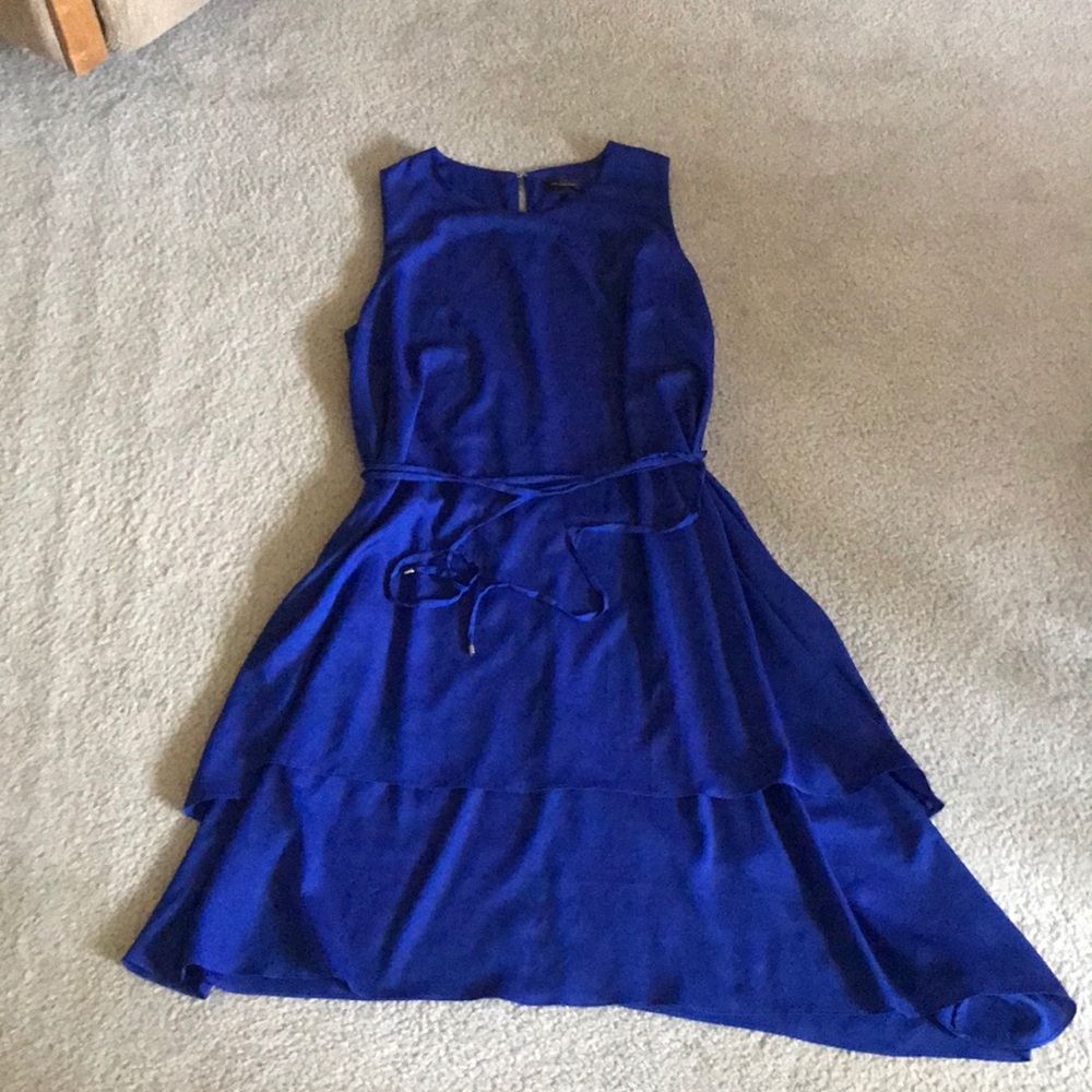 Cobalt Blue Dress from the Limited